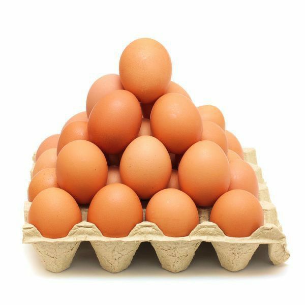 Telor
